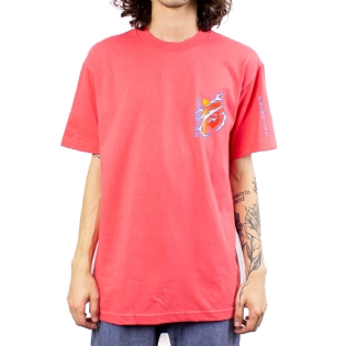 Camiseta Primitive Dbz Dirty Rosa