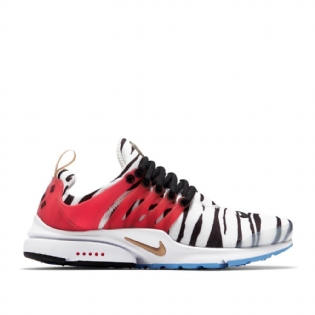 Tênis Nike Air Presto Colorido