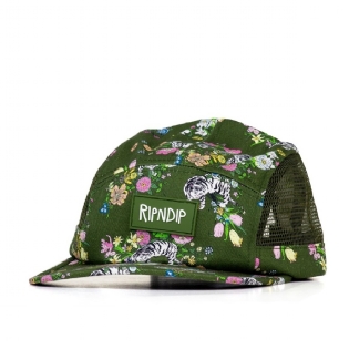 Boné Ripndip Blowing Nerm Cotton Twill Verde