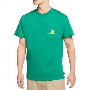 Camiseta Nike Sb Brasil Verde
