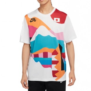 Camiseta Nike Sb Japão Colorido