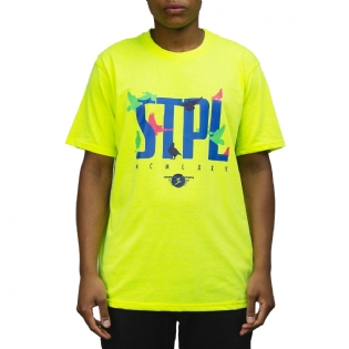 Camiseta Staple Birds Verde