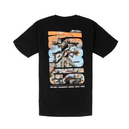 Camiseta Stussy Desert Sky Preto
