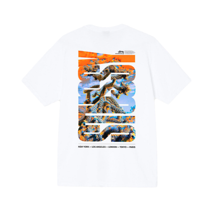 Camiseta Stussy Desert Sky Branco