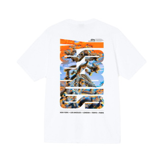 Camiseta Stussy Desert Sky Branco