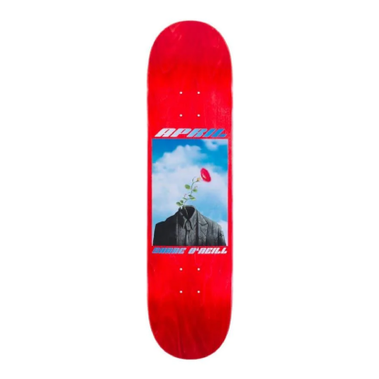Shape April Shane O Neil Rock 8.25 Multicolor