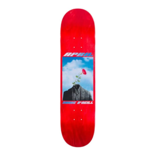Shape April Shane O Neil Rock 8.25 Multicolor