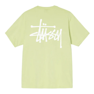 Camiseta Stussy Basic Verde