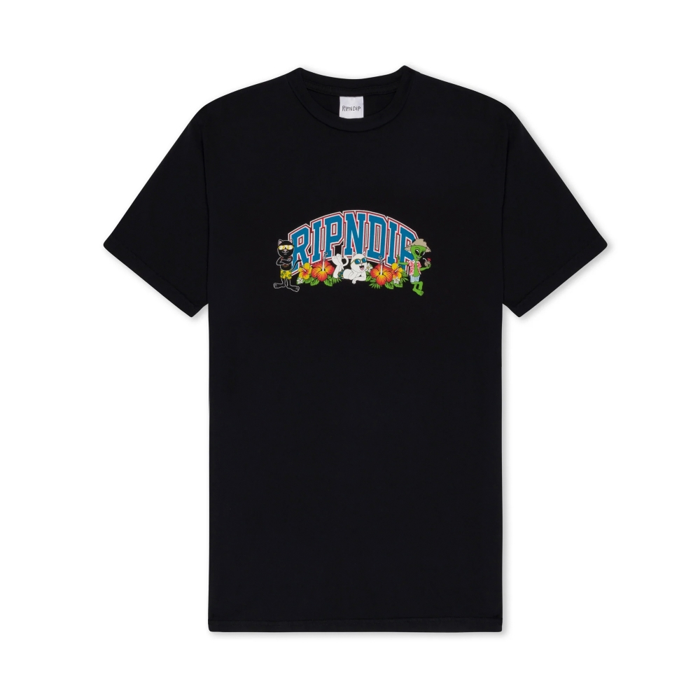 Camiseta Ripndip Summer Friends Tee Preto