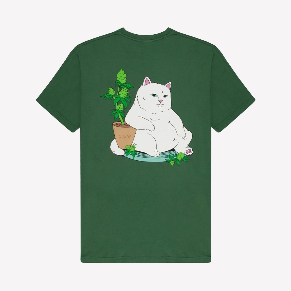 Camiseta Ripndip Flower Boy Tee Verde