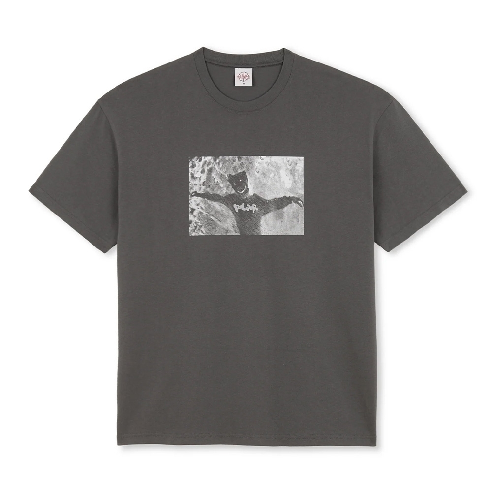 Camiseta Polar Sustained Disintegration Cinza