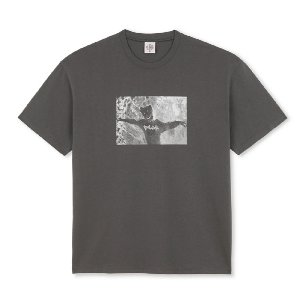 Camiseta Polar Sustained Disintegration Cinza
