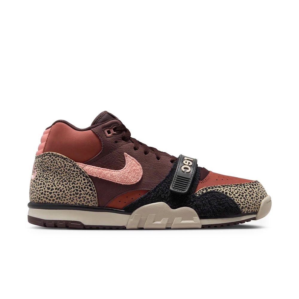 Tênis Nike Sb Air Trainer 1 Colorido