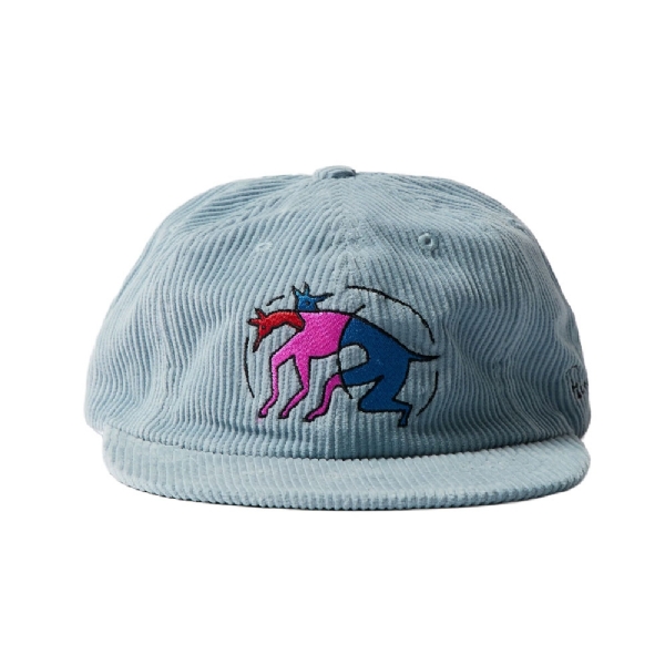 The Zoomies 6 Panel Hat Azul