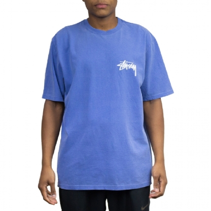 Camiseta Stussy Painter Pig Dyed Azul