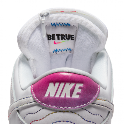 Tenis Nike Sb Dunk Low Pro Betrue Colorido