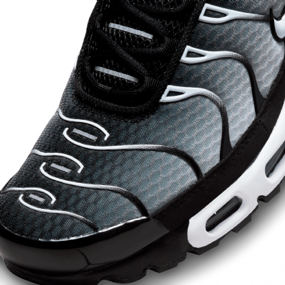 Tênis Nike Air Max Plus Preto/prateado