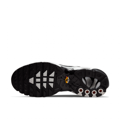 Tênis Nike Air Max Plus Preto/prateado