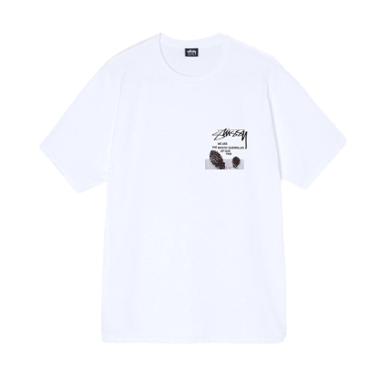 Camiseta Stussy Desert Sky Branco