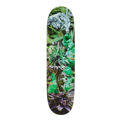 Shape Palace Charlie Birch 8.5 Estampado