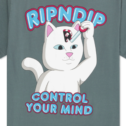 Camiseta Ripndip Control Your Mind Cinza
