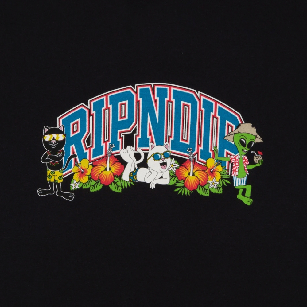 Camiseta Ripndip Summer Friends Tee Preto