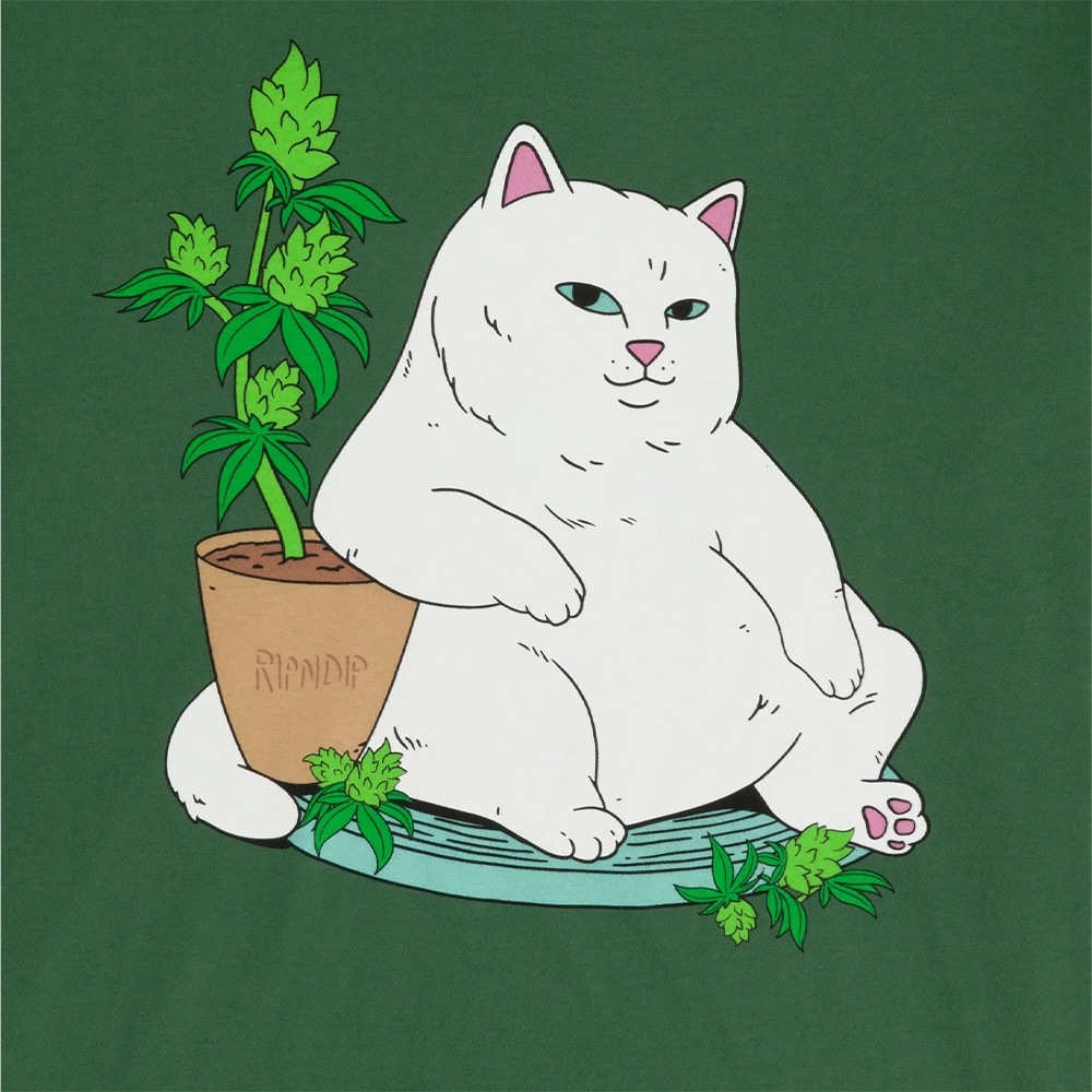Camiseta Ripndip Flower Boy Tee Verde