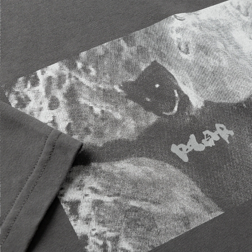 Camiseta Polar Sustained Disintegration Cinza