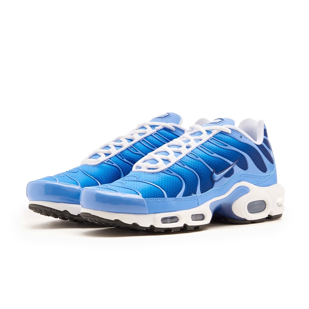 Tênis Nike Air Max Plus Azul