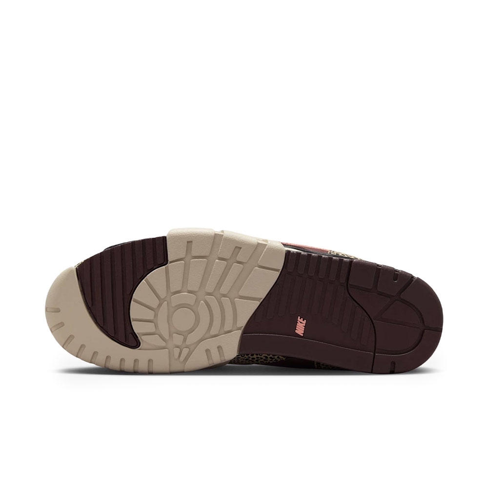 Tênis Nike Sb Air Trainer 1 Colorido