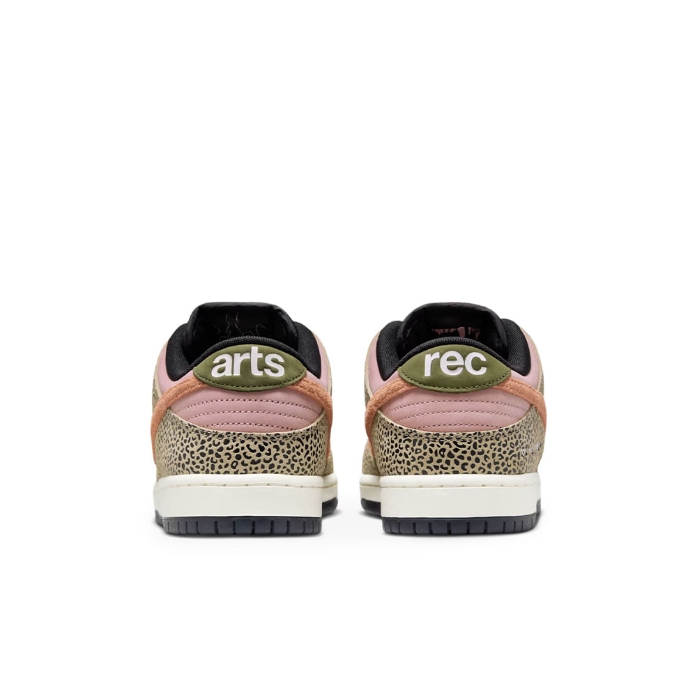 Tênis Nike Sb Dunk Low Pro Colorido