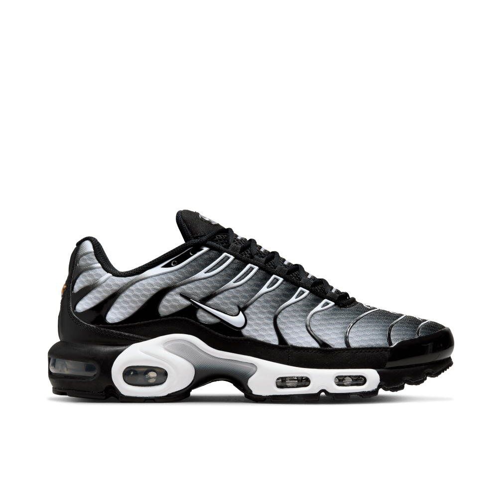 Tênis Nike Air Max Plus Preto/prateado