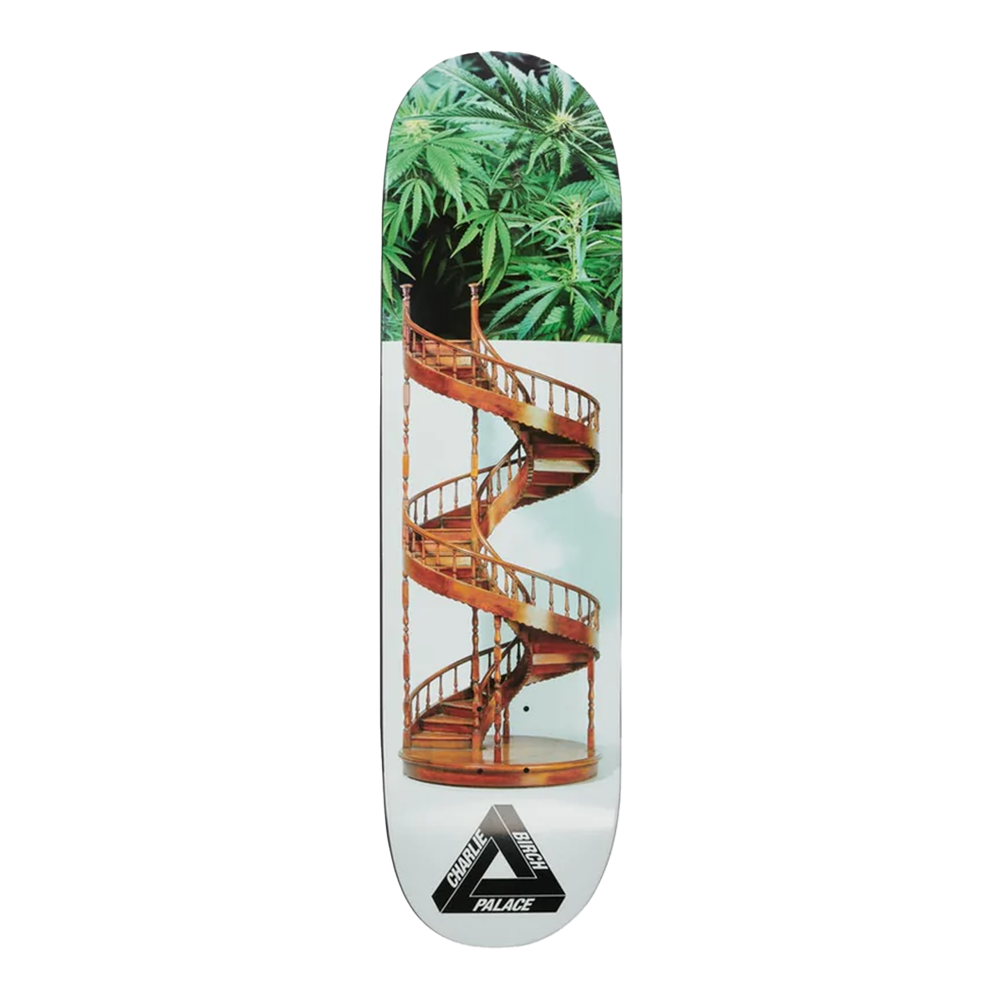 Shape Palace Charlie Birch 8.5 Estampado
